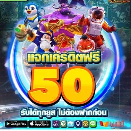 66DV 66DV